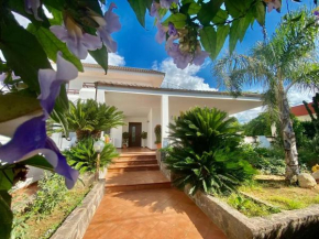 The Rosa's Luxury House